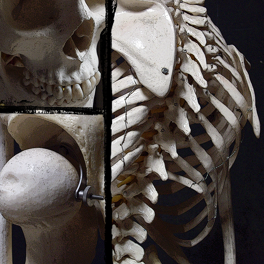 skeleton image