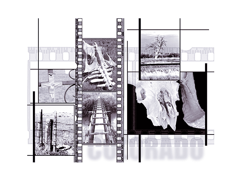image 4 slide