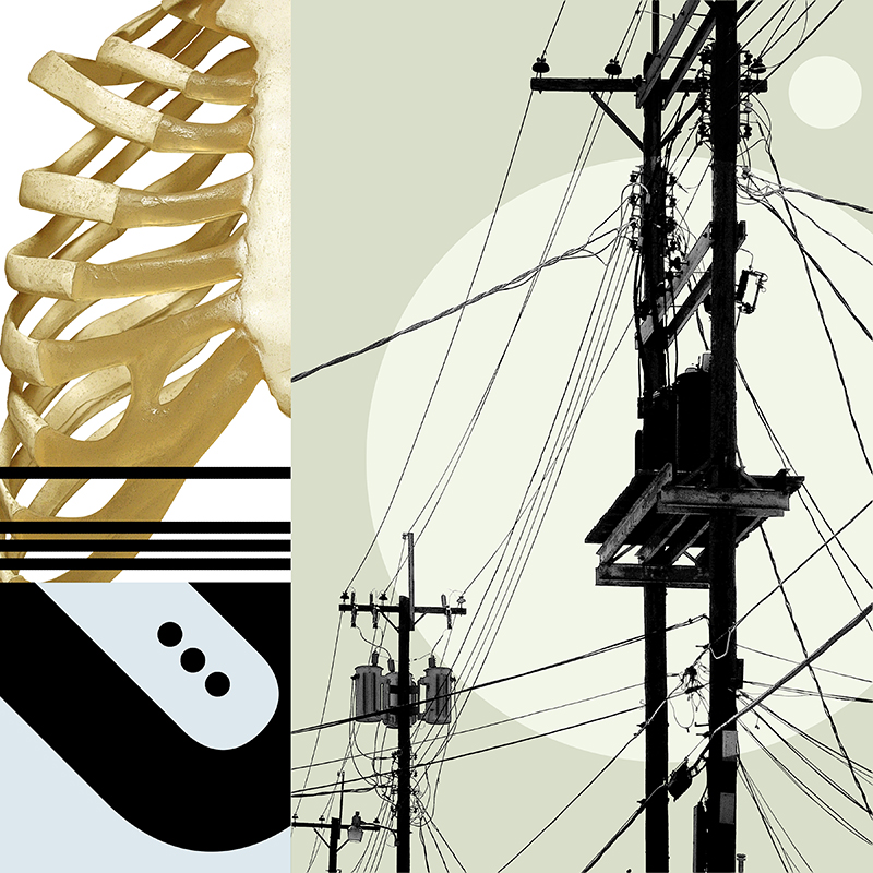 collage, rib cage, letter forms, and wires