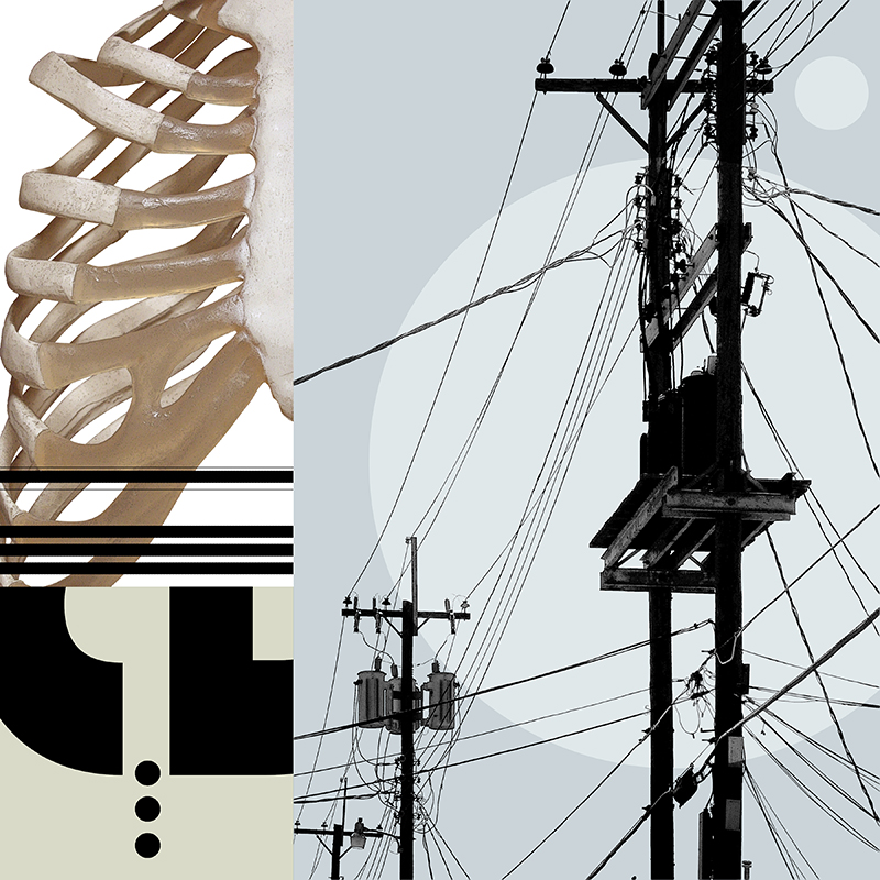 collage, rib cage, letter forms, and wires
