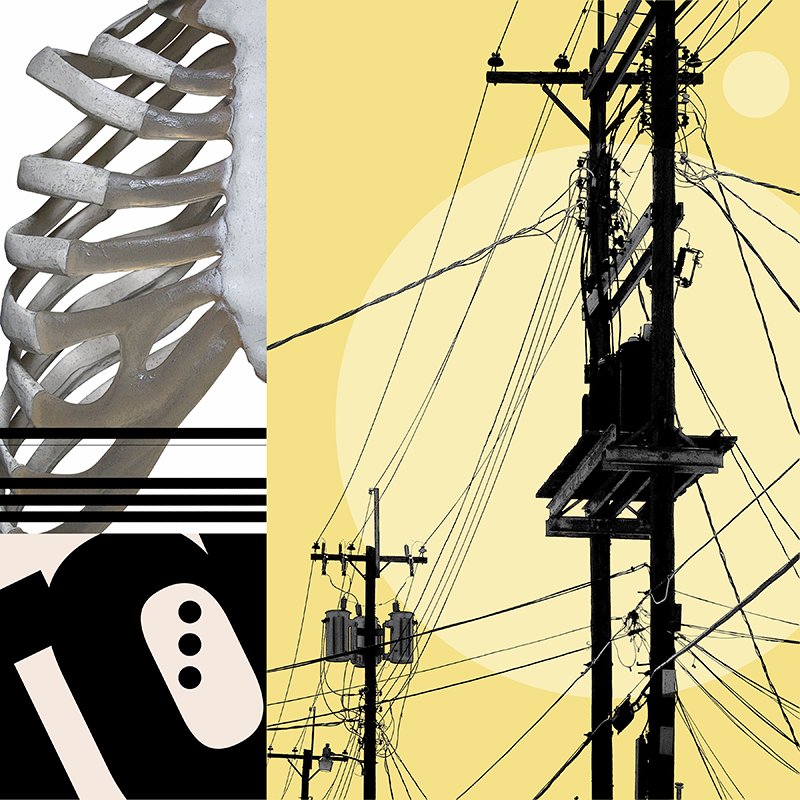 collage, rib cage, letter forms, and wires